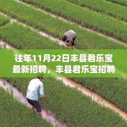 往年11月22日丰县君乐宝招聘盛会,人才盛宴探寻之旅