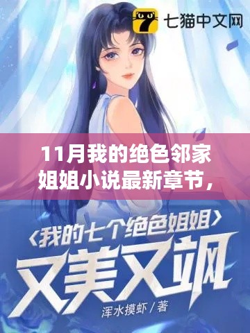 追寻最新章节,11月绝色邻家姐姐小说更新指南