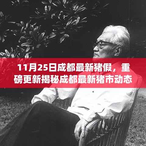 成都最新猪市行情分析,揭秘猪假与猪市动态重磅更新(11月25日)