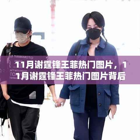 谢霆锋王菲11月热门图片揭秘,时尚与情感的聚焦之旅