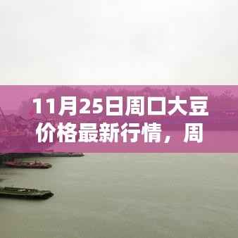 11月25日周口大豆价格行情解析,最新报价及查询指南(初学者与进阶用户必看)