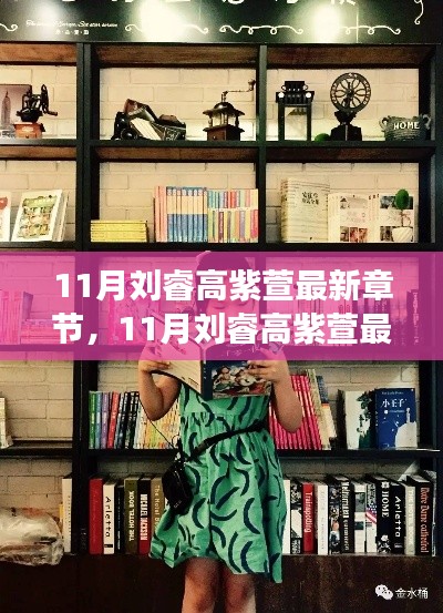 变化中的学习之旅,刘睿高紫萱的自信与成就感的魔法之旅(最新章节)