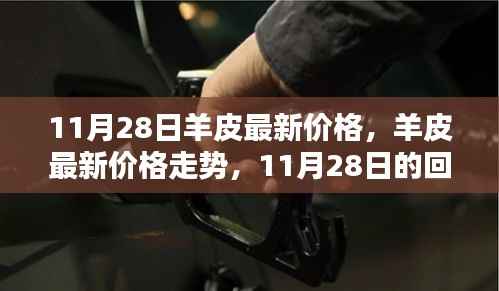 11月28日羊皮最新价格及走势回顾,市场影响与趋势分析
