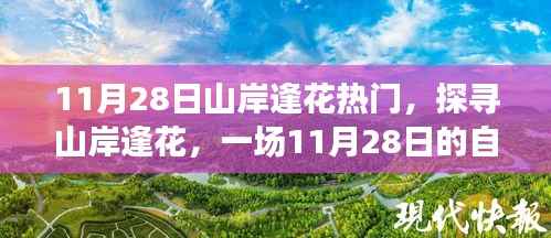 探寻山岸逢花,自然盛宴的开启时刻