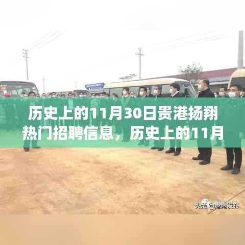 贵港扬翔热门招聘信息全解析，历史上的11月30日回顾与评测