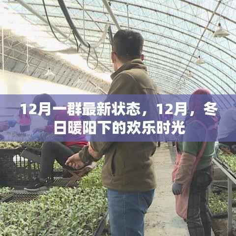 12月欢乐时光,冬日暖阳下的最新状态