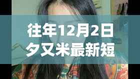 米米夕的十二月二日短发新风尚,追寻内心宁静的自然魔法之旅