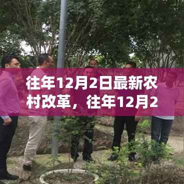 往年12月2日最新农村改革深度解析与介绍