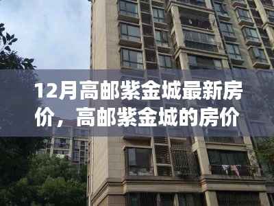 橘虞初梦 第13页