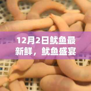 揭秘鲜味之源,探寻鱿鱼盛宴,探寻最新鲜鱿鱼就在12月2日