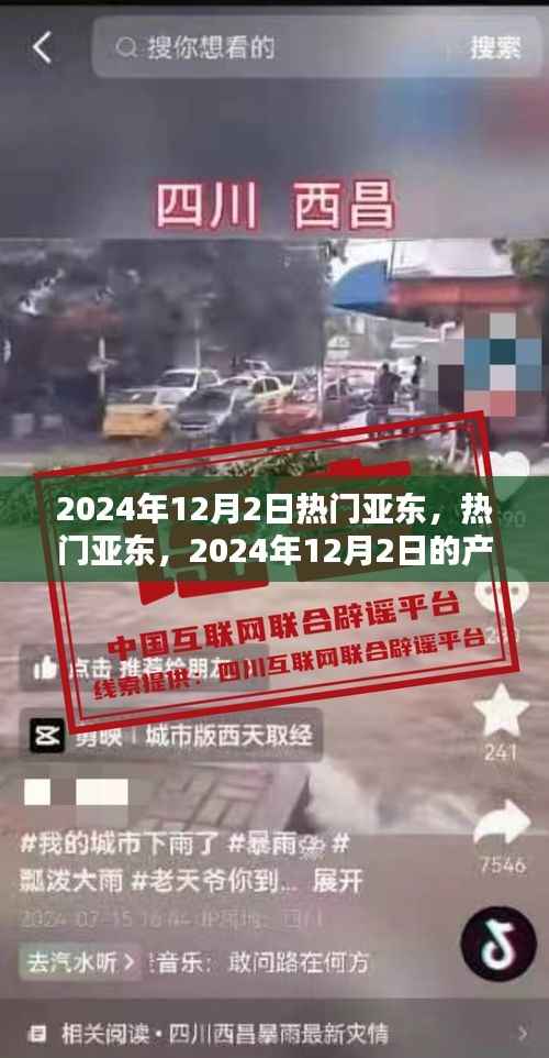 深度解析,亚东产品特性与用户体验——2024年12月2日热门亚东一览