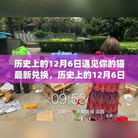 滔滔不绝 第15页