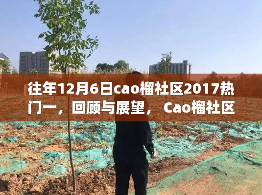 Cao榴社区2017年12月6日热门事件回顾与展望,深度解析与总结