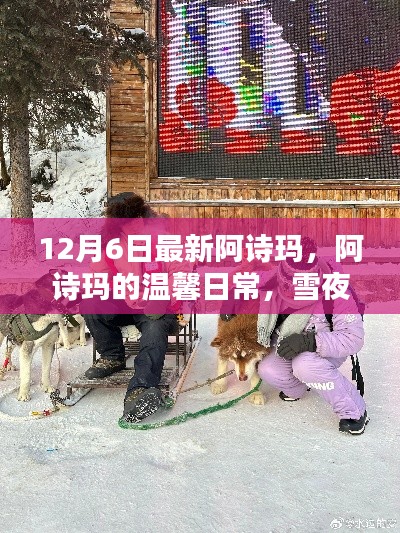 阿诗玛温馨日常，雪夜冒险与友情的温暖时刻