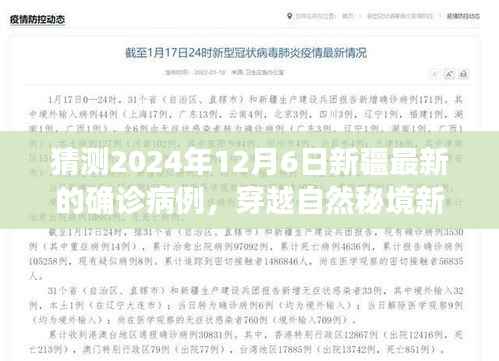 feijianruhuang 第12页