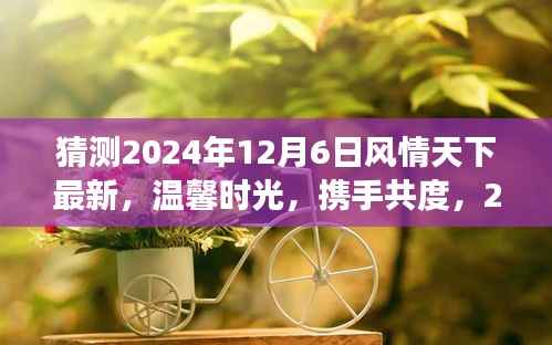 2024年12月6日风情天下,共度温馨时光的日常故事