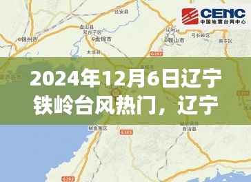 辽宁铁岭台风热议背后的深思,观点碰撞与反思 2024年12月6日铁岭台风事件探讨