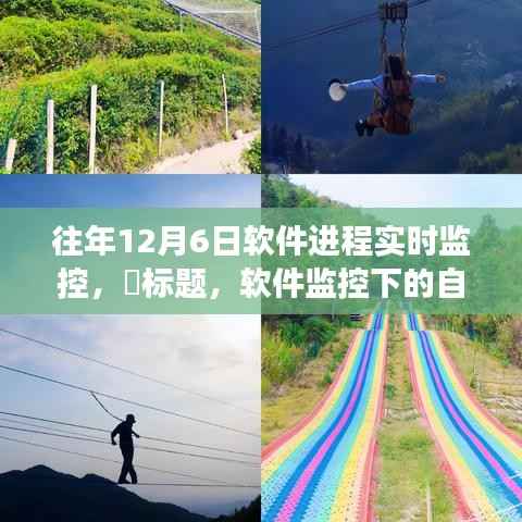 软件监控下的心灵探索之旅,实时进程监控揭示软件世界的奥秘