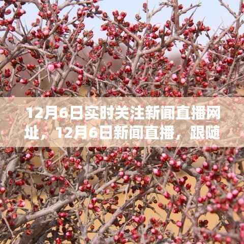 chenyuluoyan 第13页