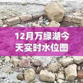 jingjingyeye 第11页