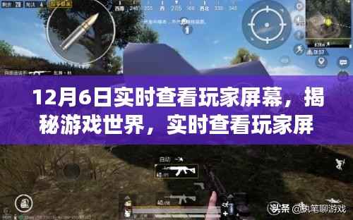 揭秘游戏世界，实时查看玩家屏幕的技术探索与影响分析——以12月6日观察节点为例