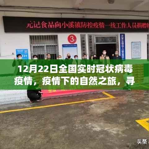 12月22日全国冠状病毒疫情实时更新,疫情下的自然探索与内心平和之旅