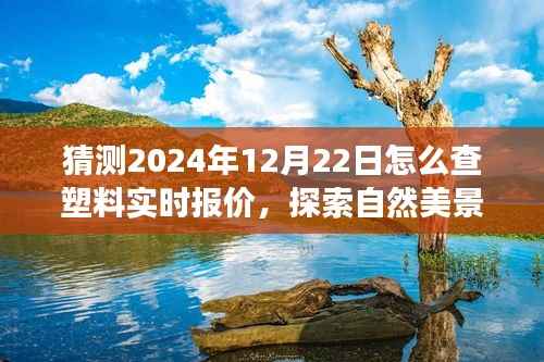 未来塑料实时报价探索之旅,心灵宁静与自然美景的双重追寻