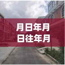 厦门历史巷弄风情与台风故事,实时更新台风资讯与探秘独特风味小店