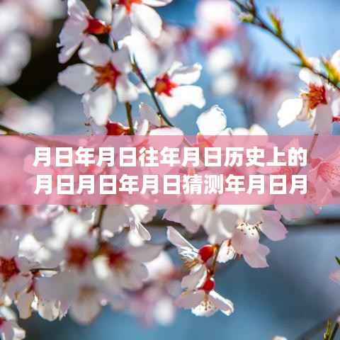 探索历史奥秘与自然的魅力,月日月年热点实时评价及自然美景之旅探索