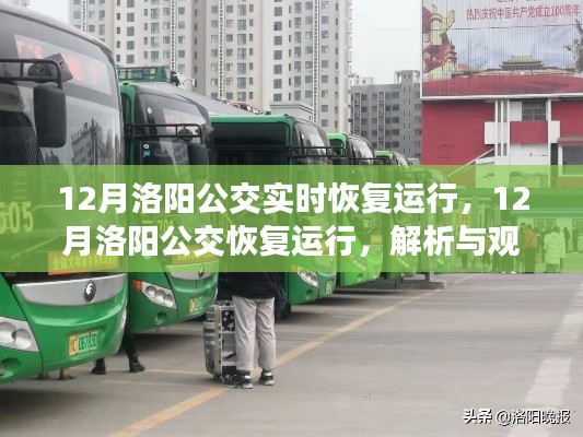 洛阳公交恢复运行解析与观点阐述，12月实时调整与运行进展