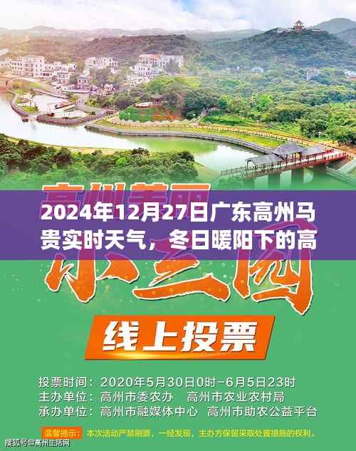 广东高州马贵冬日暖阳下的温馨时光——实时天气与旅行体验