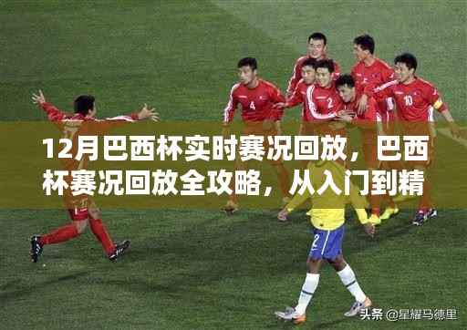 巴西杯赛况回放全攻略,从入门到精通的观看指南,12月实时赛况回顾