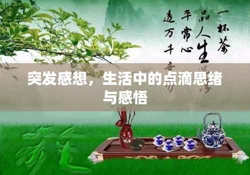 bingguishensu 第11页