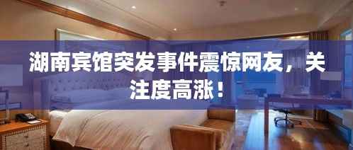 湖南宾馆突发事件震惊网友,关注度高涨!