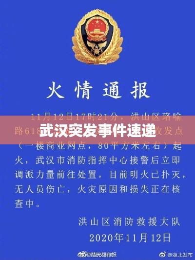 hubeixiongyao 第11页