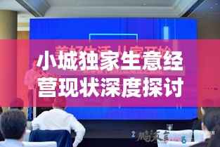 小城独家生意经营现状深度探讨,机遇与挑战并存