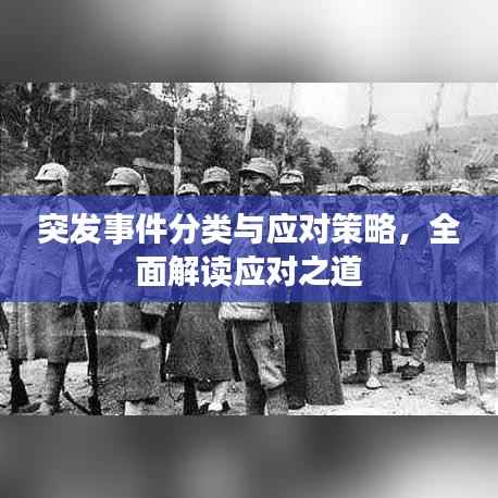 突发事件分类与应对策略,全面解读应对之道