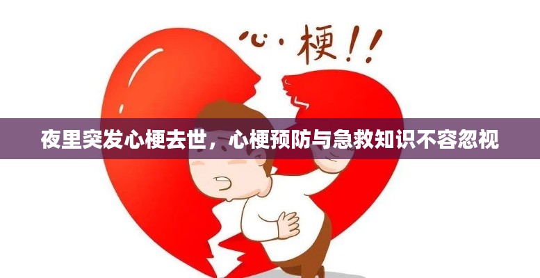 niaogehuifei 第11页