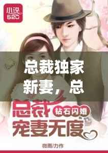 总裁独家新妻,总裁独家妻免费阅读宠爱无度