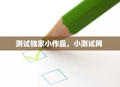 测试独家小作品,小测试网