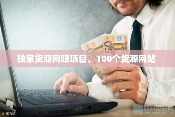 独家货源网赚项目,100个货源网站