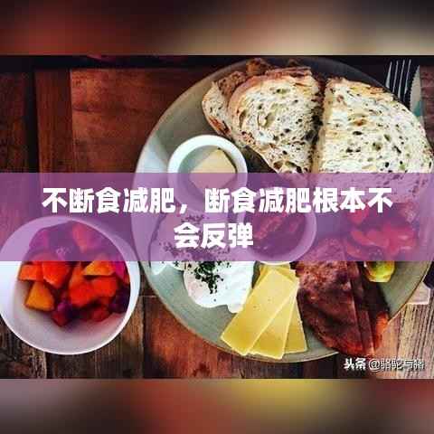 不断食减肥,断食减肥根本不会反弹