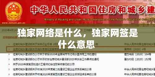 独家网络是什么,独家网签是什么意思