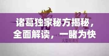 诸葛独家秘方揭秘,全面解读,一睹为快!