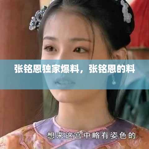 张铭恩独家爆料,张铭恩的料