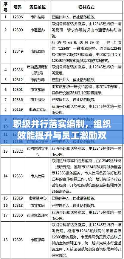职级并行落实编制,组织效能提升与员工激励双提升策略