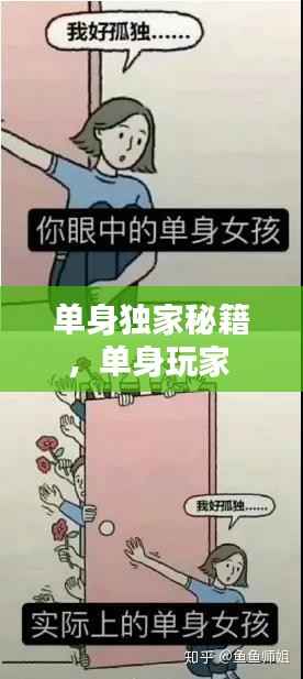 单身独家秘籍,单身玩家