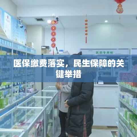 医保缴费落实,民生保障的关键举措