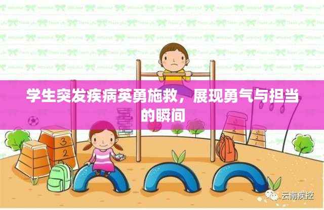 学生突发疾病英勇施救,展现勇气与担当的瞬间