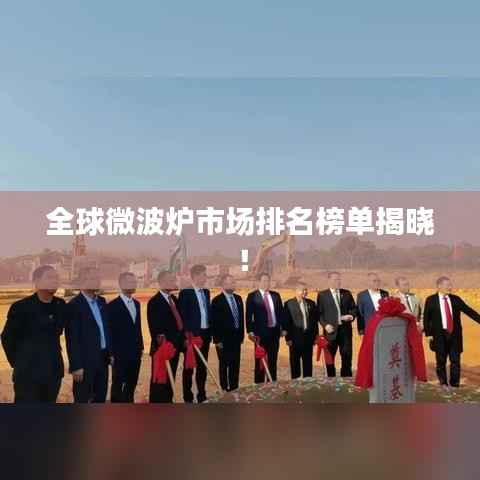 全球微波炉市场排名榜单揭晓!